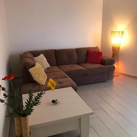 Lotus Studio 那沃达利