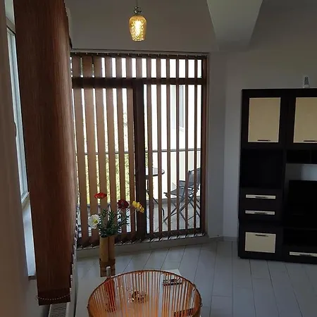 Lotus Studio 公寓 *